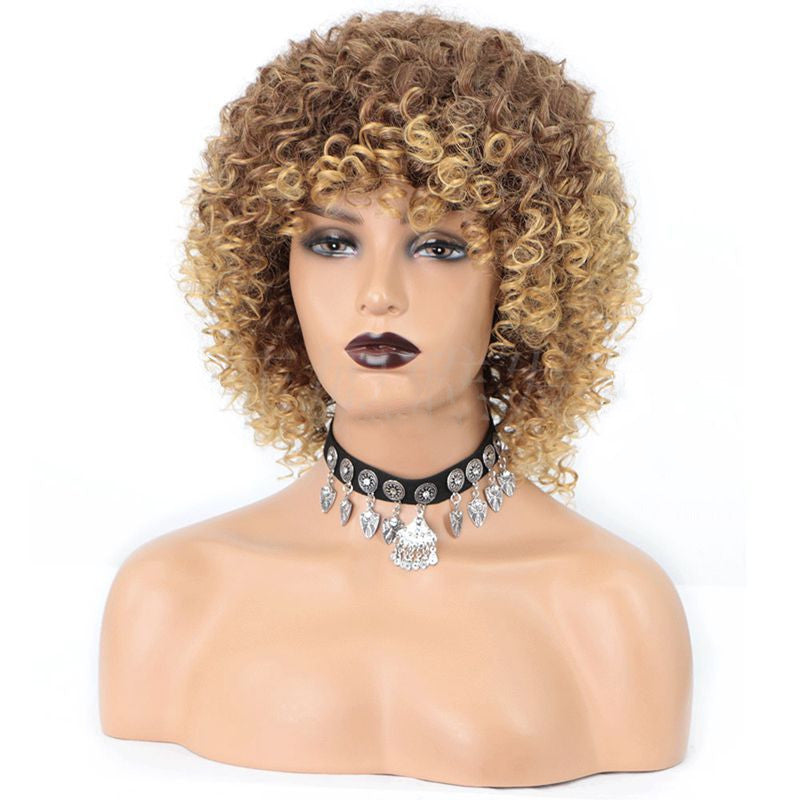 Cross-Border Wigs European And American Fashion African Small Curly Wigs Headgear Wig African Explosive Head