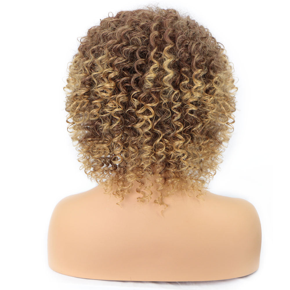 Cross-Border Wigs European And American Fashion African Small Curly Wigs Headgear Wig African Explosive Head