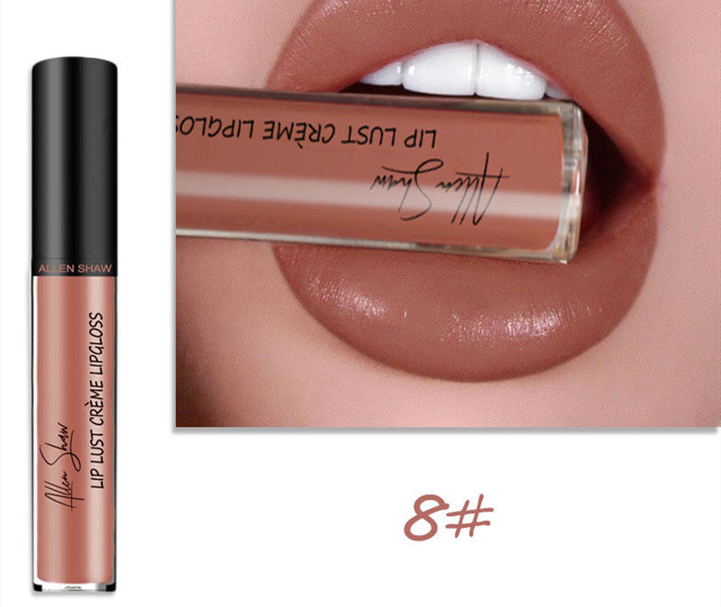 Silky Cream Texture Lip Gloss AliExpress Shopee Cross-Border Exclusive Lip Glaze Lip Gloss Lipstick