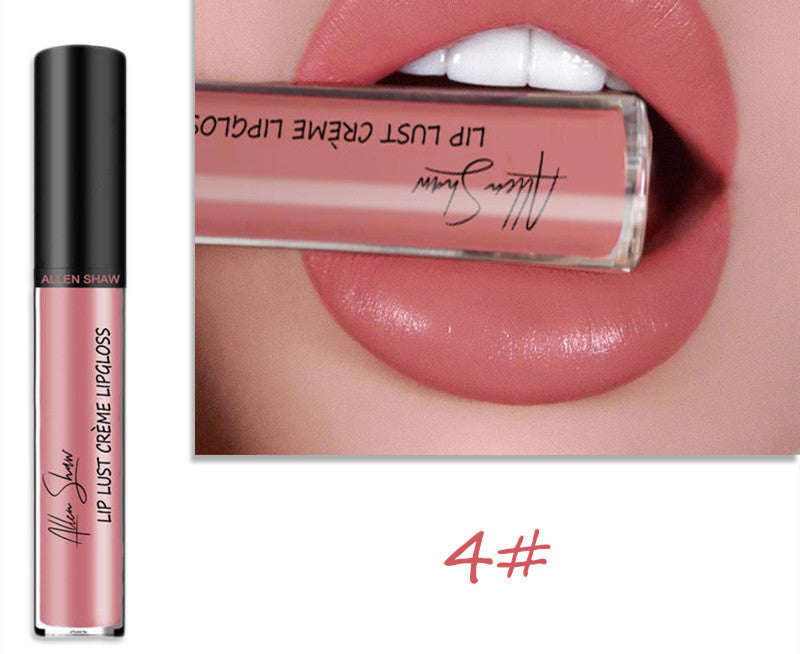 Silky Cream Texture Lip Gloss AliExpress Shopee Cross-Border Exclusive Lip Glaze Lip Gloss Lipstick