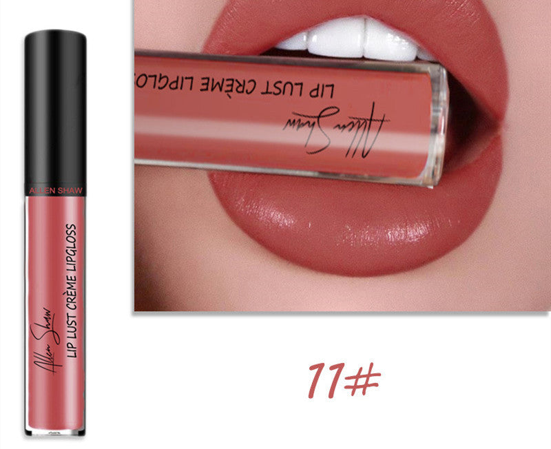 Silky Cream Texture Lip Gloss AliExpress Shopee Cross-Border Exclusive Lip Glaze Lip Gloss Lipstick