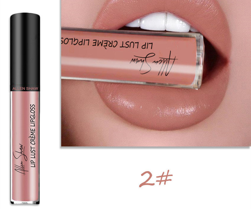 Silky Cream Texture Lip Gloss AliExpress Shopee Cross-Border Exclusive Lip Glaze Lip Gloss Lipstick