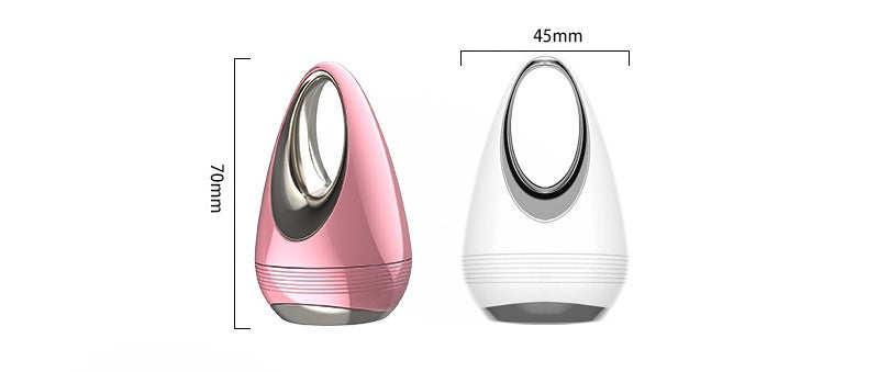 Facial beauty instrument