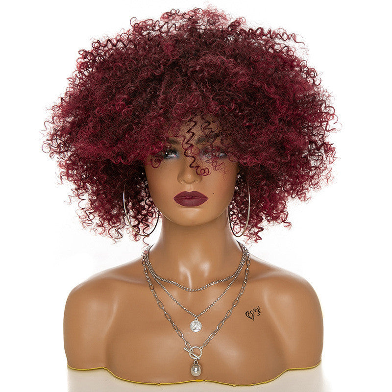 Afro Kinky Curly Hair Wigs