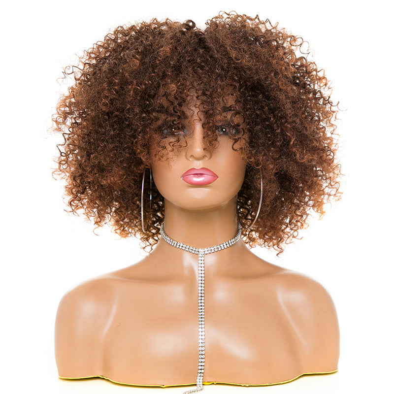 Afro Kinky Curly Hair Wigs